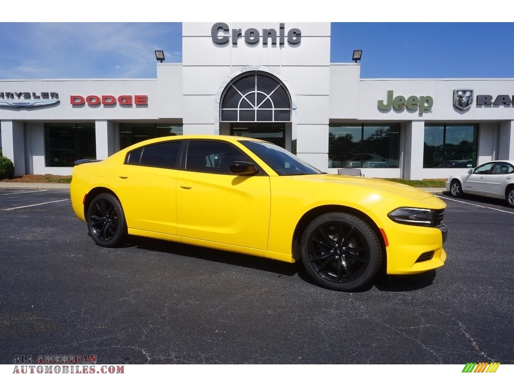 Yellow Jacket / Black Dodge Charger SE
