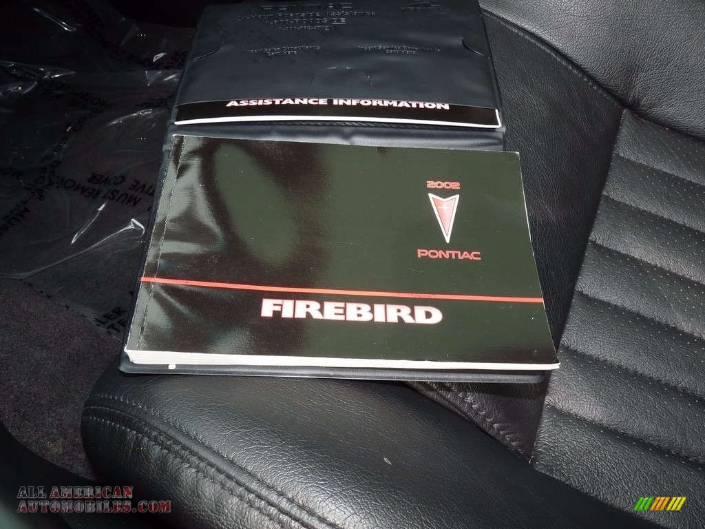 2002 Firebird Trans Am Coupe - Pewter Metallic / Ebony Black photo #16
