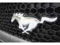Ford Mustang GT Coupe Shadow Black photo #9