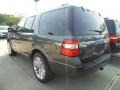 Ford Expedition Limited 4x4 Magnetic photo #4