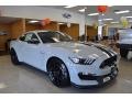 Ford Mustang Shelby GT350 Avalanche Gray photo #1