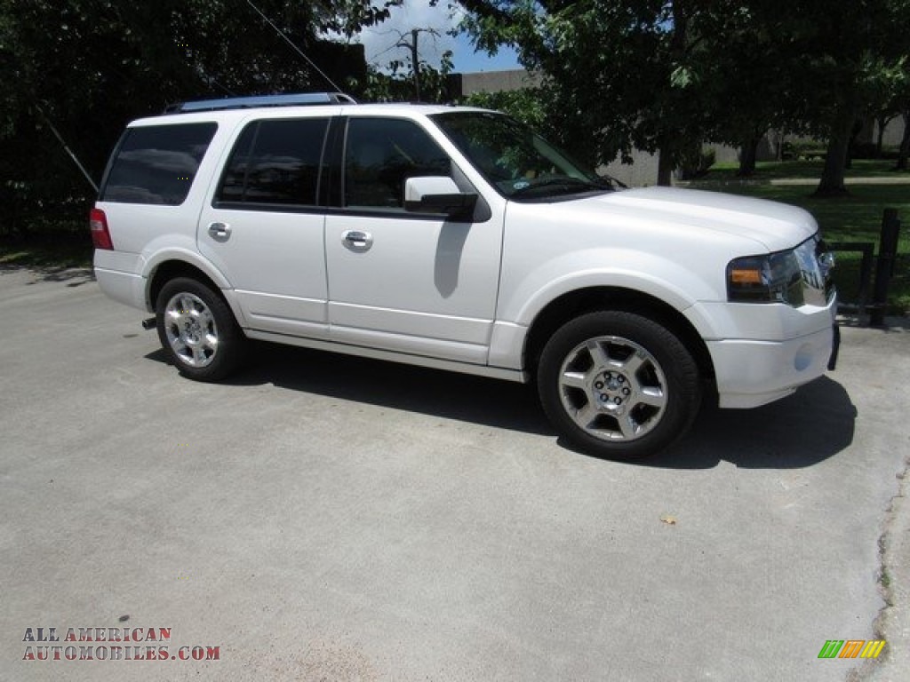 White Platinum / Stone Ford Expedition Limited