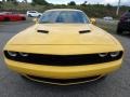 Dodge Challenger R/T Yellow Jacket photo #2