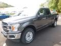 Ford F150 XLT SuperCab 4x4 Magnetic photo #5