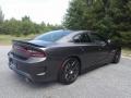 Dodge Charger R/T Scat Pack Granite Pearl photo #6