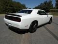 Dodge Challenger R/T Scat Pack White Knuckle photo #6