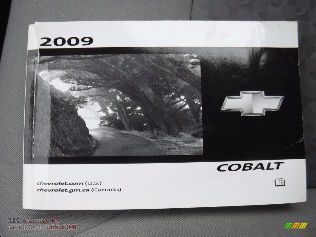 2009 Cobalt LS Coupe - Silver Moss Metallic / Gray photo #18