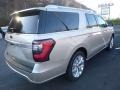 Ford Expedition Platinum Max 4x4 White Gold photo #5