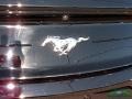 Ford Mustang EcoBoost Fastback Shadow Black photo #28