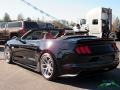Ford Mustang Shelby Super Snake Convertible Shadow Black photo #4