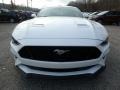 Ford Mustang GT Fastback Oxford White photo #7