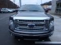 Ford F150 XLT SuperCrew 4x4 Sterling Grey photo #7