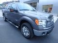 Ford F150 XLT SuperCrew 4x4 Sterling Grey photo #8