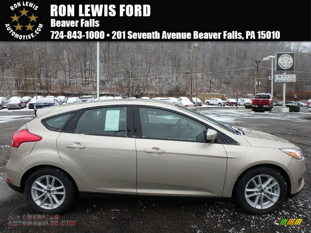 White Gold / Charcoal Black Ford Focus SE Hatch