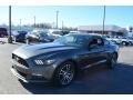 Ford Mustang EcoBoost Coupe Magnetic Metallic photo #7