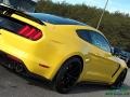 Ford Mustang Shelby GT350 Triple Yellow photo #38