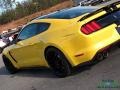 Ford Mustang Shelby GT350 Triple Yellow photo #39