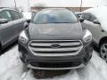 Ford Escape SEL 4WD Magnetic photo #2