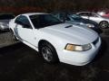 Ford Mustang V6 Coupe Crystal White photo #5