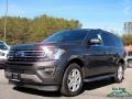 Ford Expedition XLT Magnetic photo #1