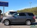 Ford Expedition XLT Magnetic photo #2
