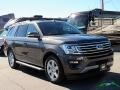 Ford Expedition XLT Magnetic photo #7