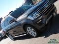 Ford Expedition XLT Magnetic photo #33