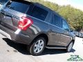 Ford Expedition XLT Magnetic photo #34