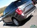 Ford Expedition XLT Magnetic photo #35