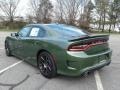 Dodge Charger R/T Scat Pack F8 Green photo #8