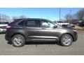 Ford Edge SEL Magnetic photo #8