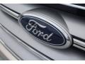 Ford Edge SEL White Gold photo #4