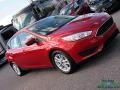 Ford Focus SE Hatch Hot Pepper Red photo #30
