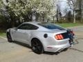 Ford Mustang EcoBoost Coupe Ingot Silver Metallic photo #8