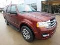 Ford Expedition XLT 4x4 Ruby Red photo #9