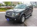 Ford Expedition Limited Tuxedo Black photo #3