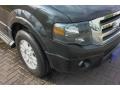 Ford Expedition Limited Tuxedo Black photo #10