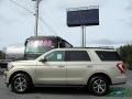 Ford Expedition XLT White Gold photo #2