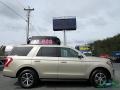 Ford Expedition XLT White Gold photo #6