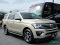 Ford Expedition XLT White Gold photo #7