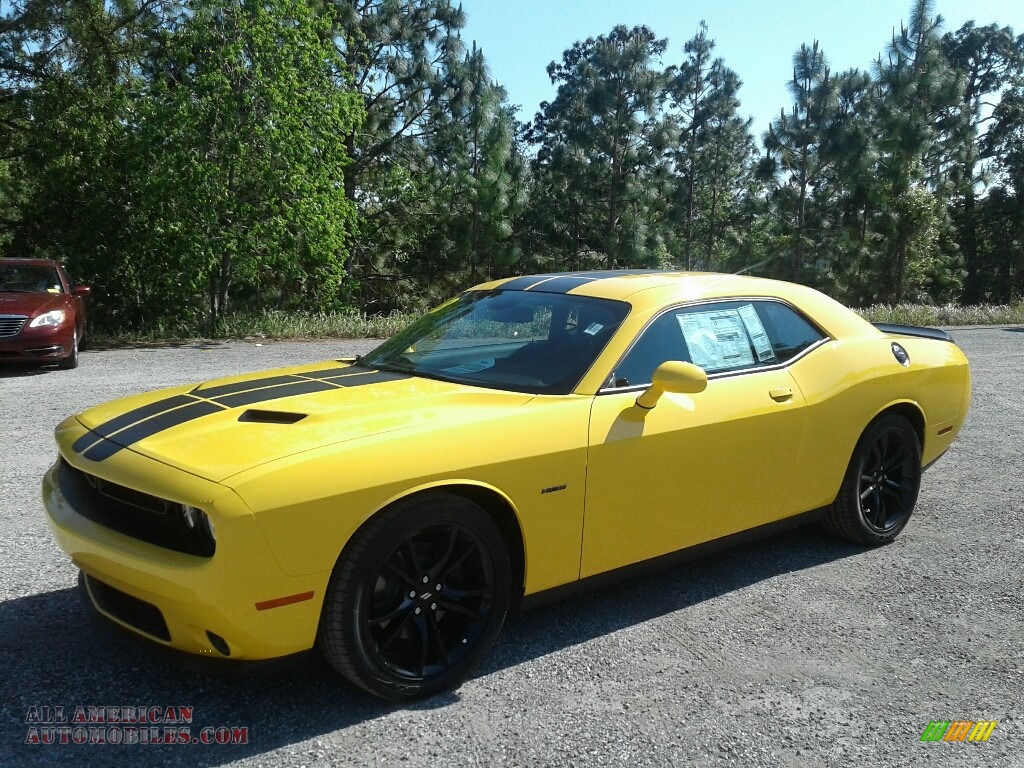 Yellow Jacket / Black Dodge Challenger R/T