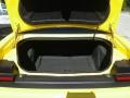 Dodge Challenger R/T Yellow Jacket photo #19