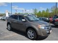 Ford Edge Limited Mineral Gray photo #1