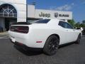 Dodge Challenger R/T Scat Pack White Knuckle photo #11