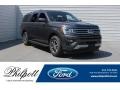 Ford Expedition XLT Max Magnetic photo #1