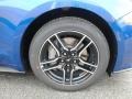 Ford Mustang GT Fastback Lightning Blue photo #10