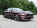 Ford Mustang EcoBoost Fastback Royal Crimson photo #1