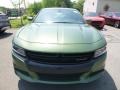 Dodge Charger GT AWD F8 Green photo #8
