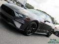 Ford Mustang EcoBoost Fastback Magnetic photo #26