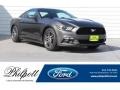 Ford Mustang Ecoboost Coupe Magnetic photo #1
